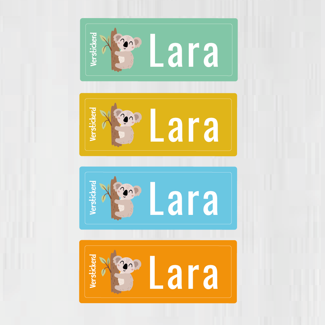 Naamstickers met plaatje (multicolor)